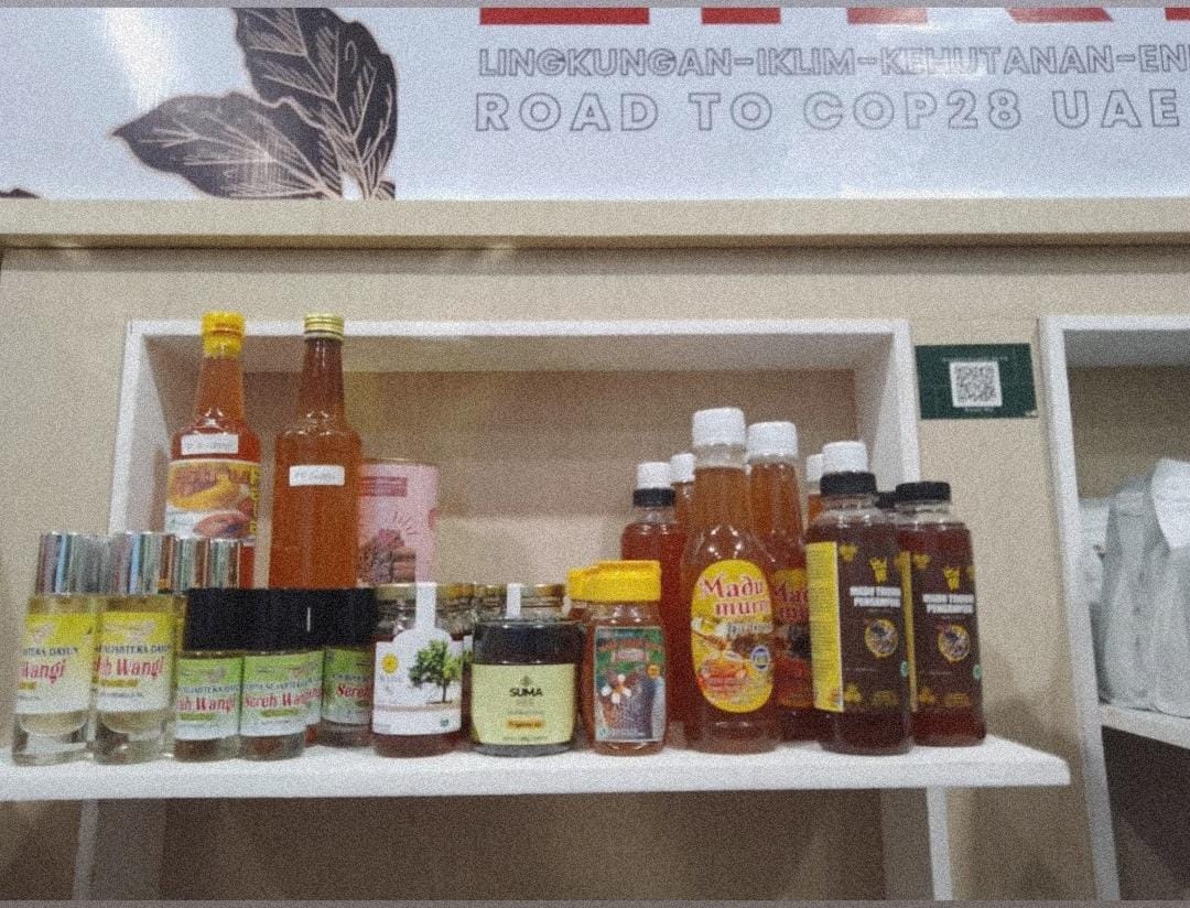 Foto 1